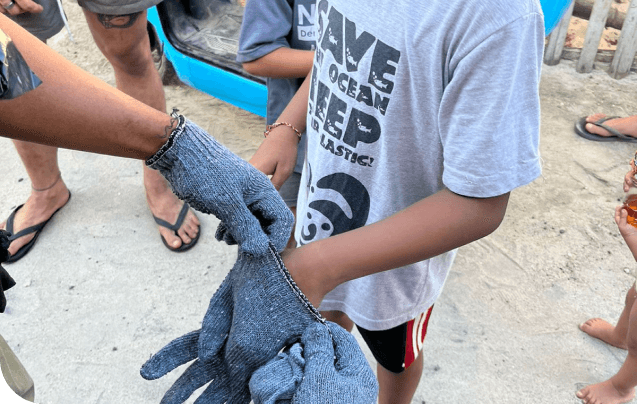 Beach Cleaning